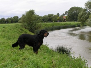 Maddy