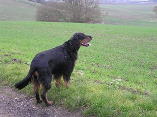 Maddy