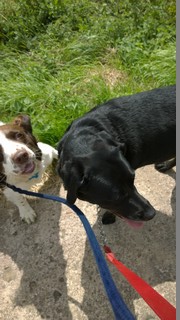 On the Lead